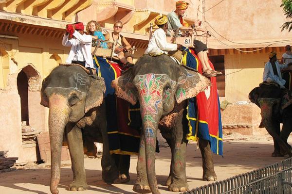 Hotel Nangis Pride Jaipur Eksteriør bilde